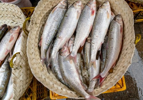 akbar-nemati-1YGP9UjGw7k-unsplash