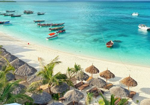 olga-budko-hl0W9gS0C6k-unsplash (1)